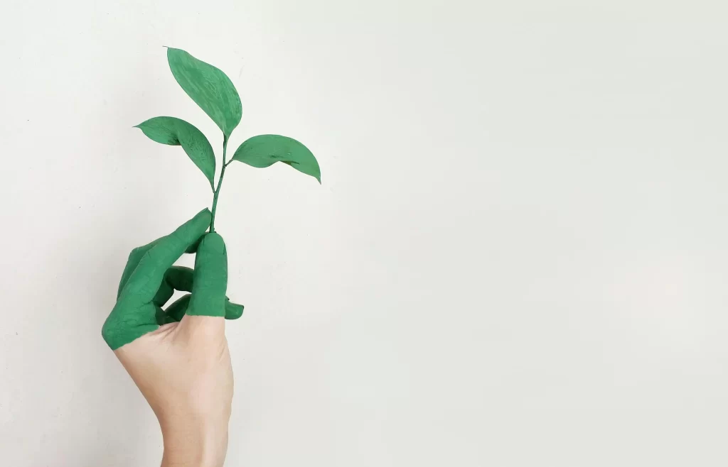 A hand holding a stem of leaves.