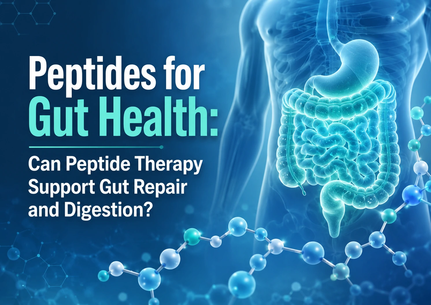 Medical illustration of the digestive system with peptide molecule graphics and text reading “Peptides for Gut Health: Can Peptide Therapy Support Gut Repair and Digestion?”